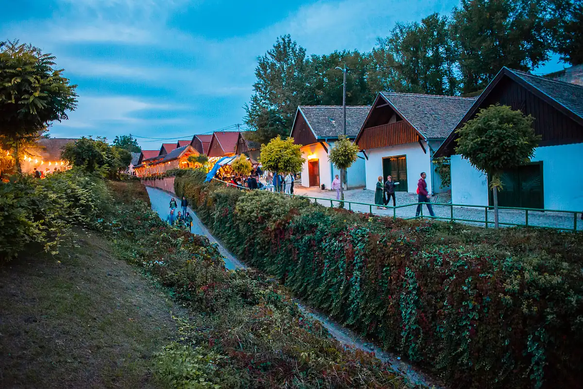 vinski maraton u zmajevcu