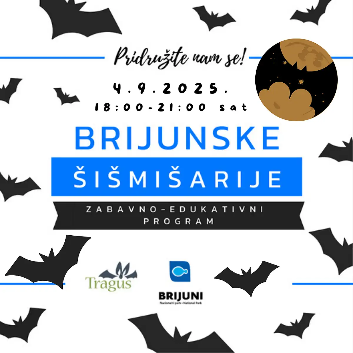 noć šišmiša na brijunima