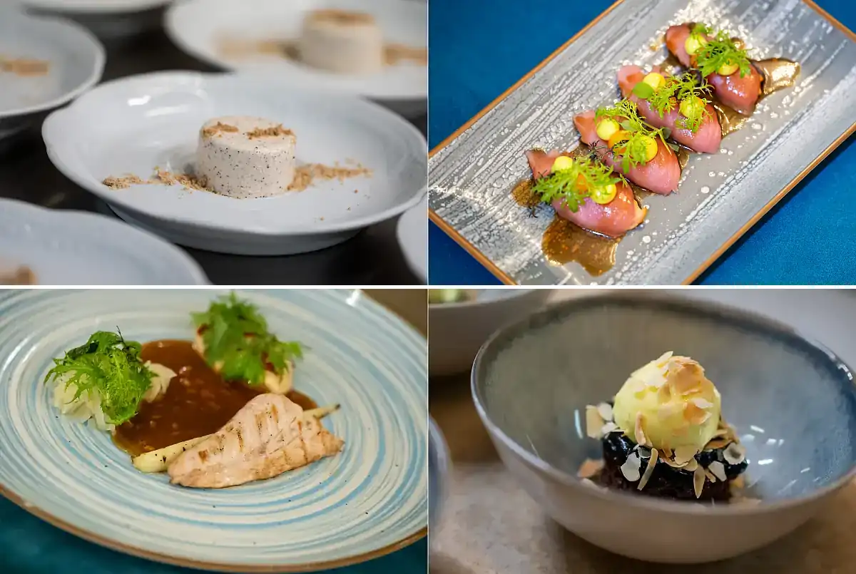 cabernet sauvignon plava riba poreč