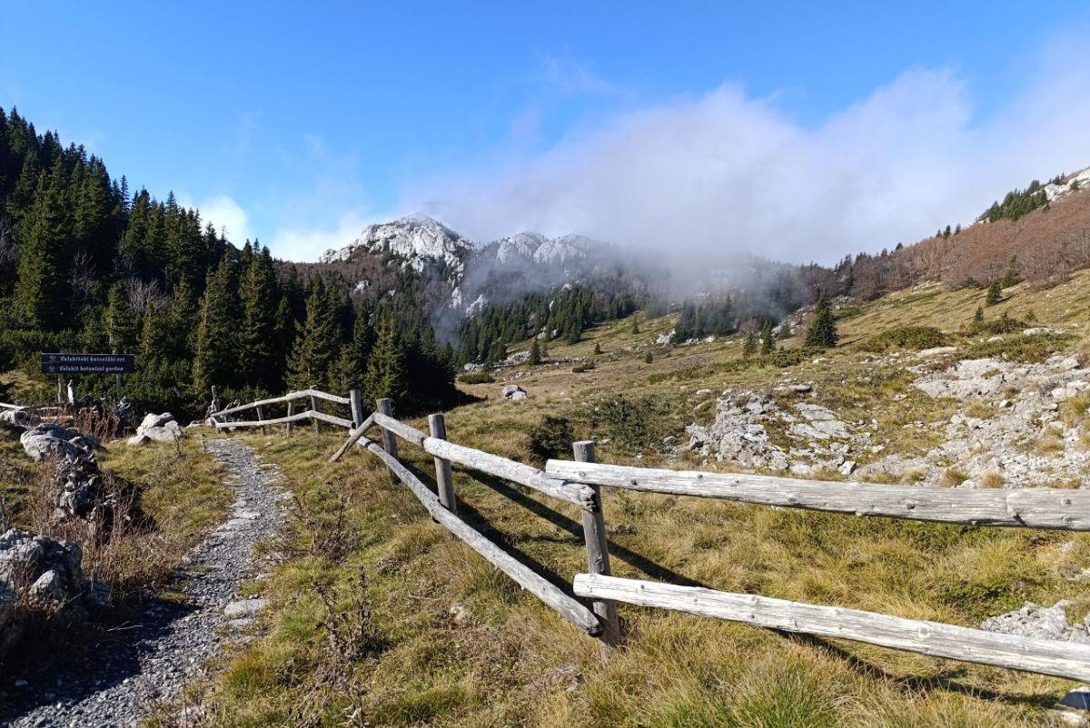 Velebit, Botanički vrt, outdoor, planinarenje, priroda