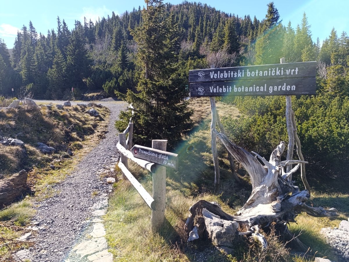 Velebit, Botanički vrt na Velebitu, outdoor, planinarenje, priroda