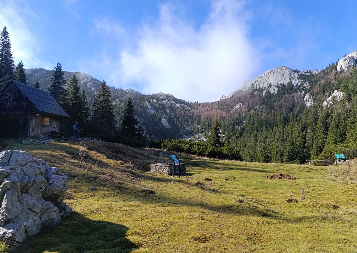 Velebit, Botanički vrt, outdoor, planinarenje, priroda