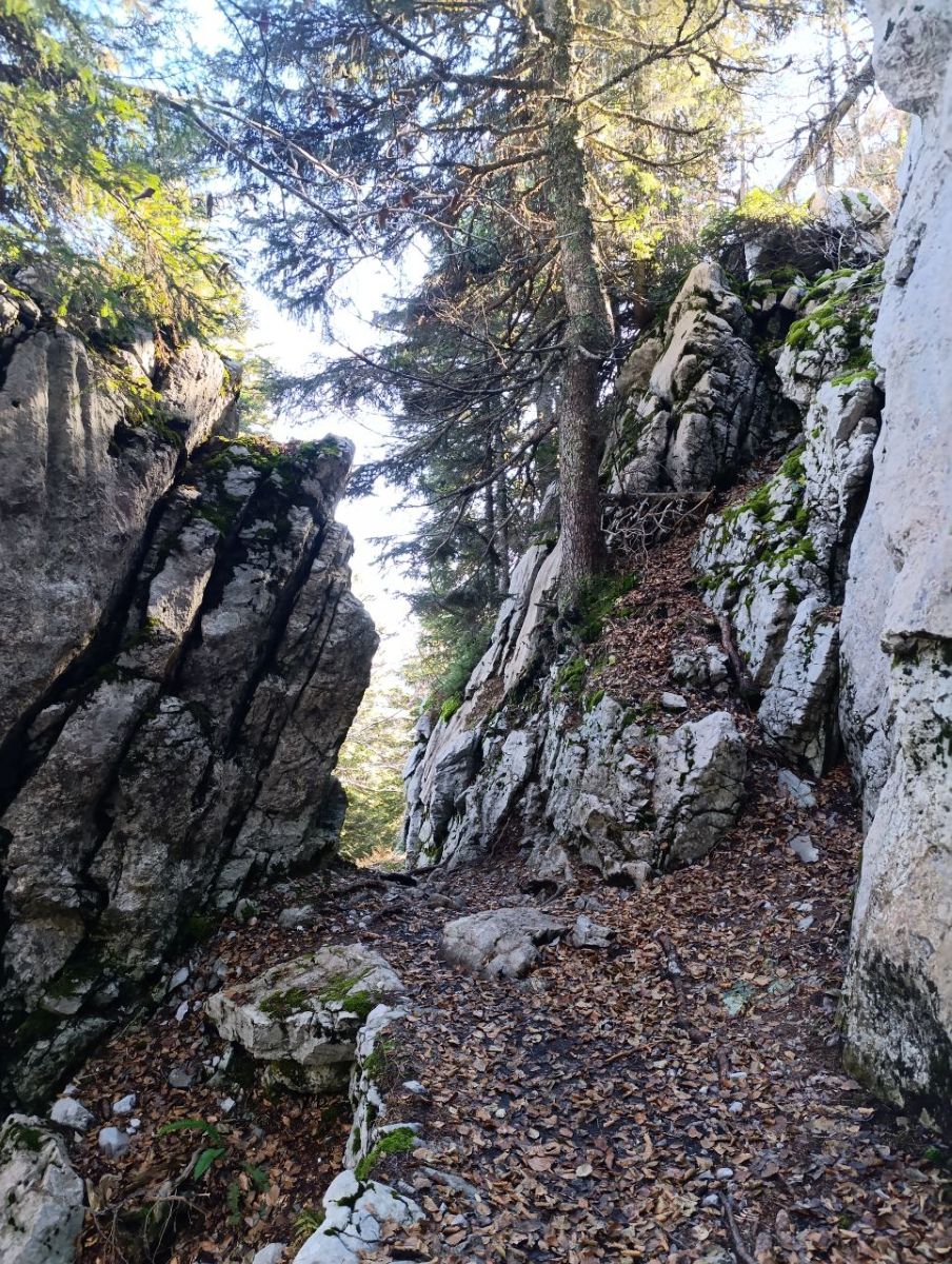 Velebit, Premužićeva staza, outdoor, planinarenje, priroda
