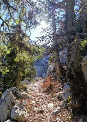 Velebit, Premužićeva staza, outdoor, planinarenje, priroda