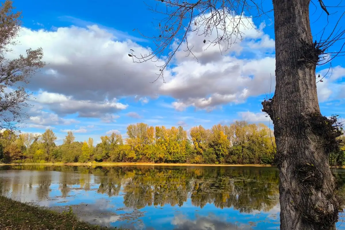 Jezero Gabajeva Greda, hlebine