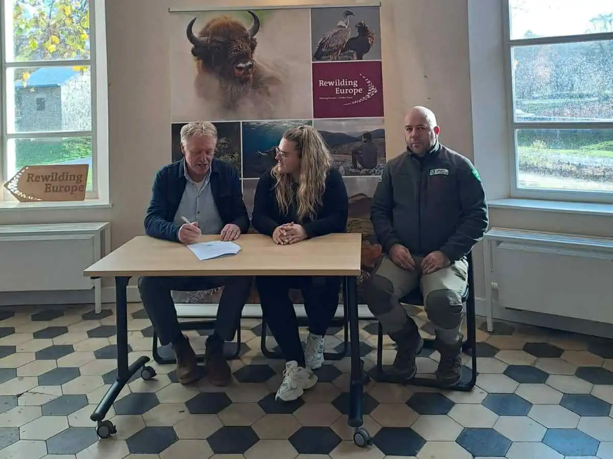 lonjsko polje - wilder parks