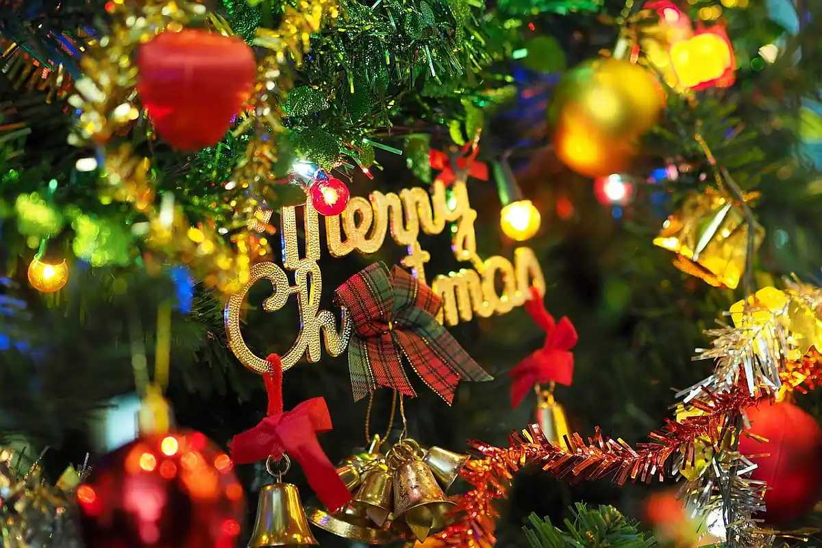 božićno drvce, jelka