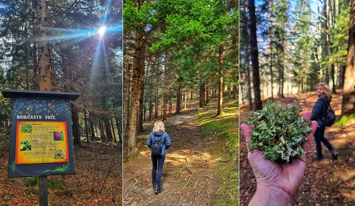 novogodišnje šetnje