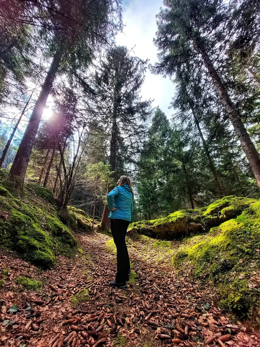 novogodišnje šetnje