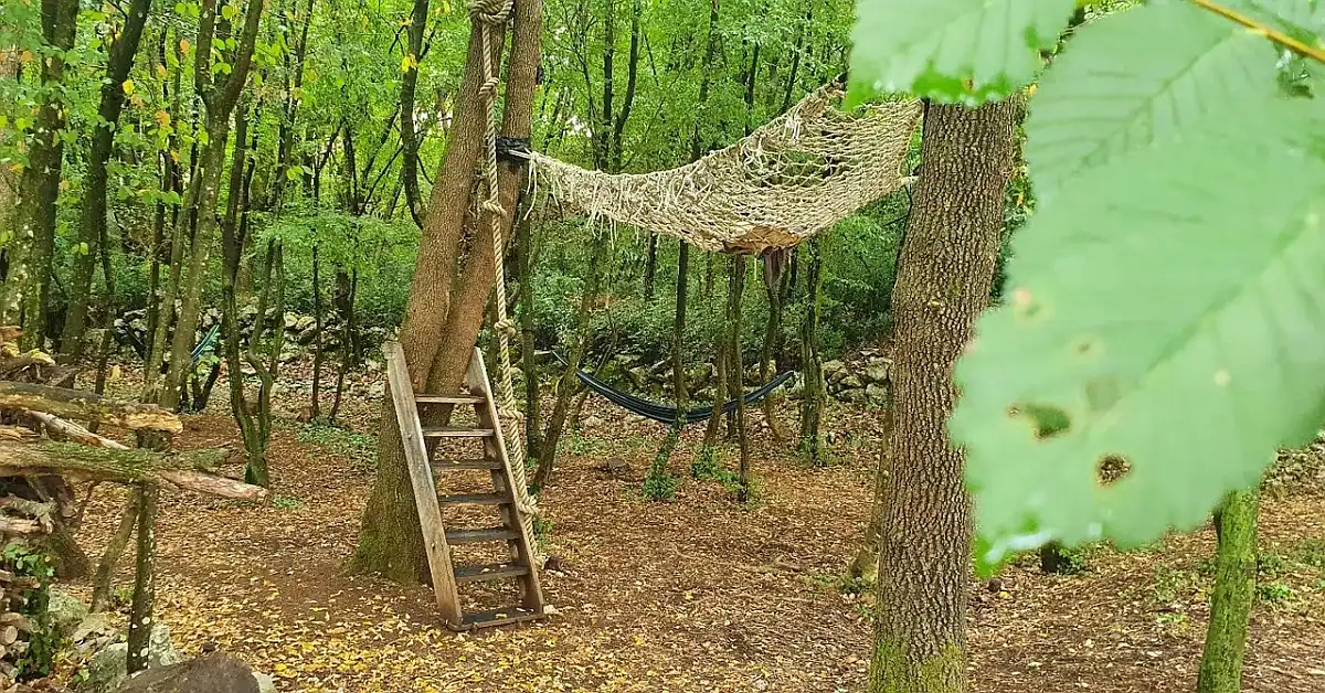 šumica u omišlju
