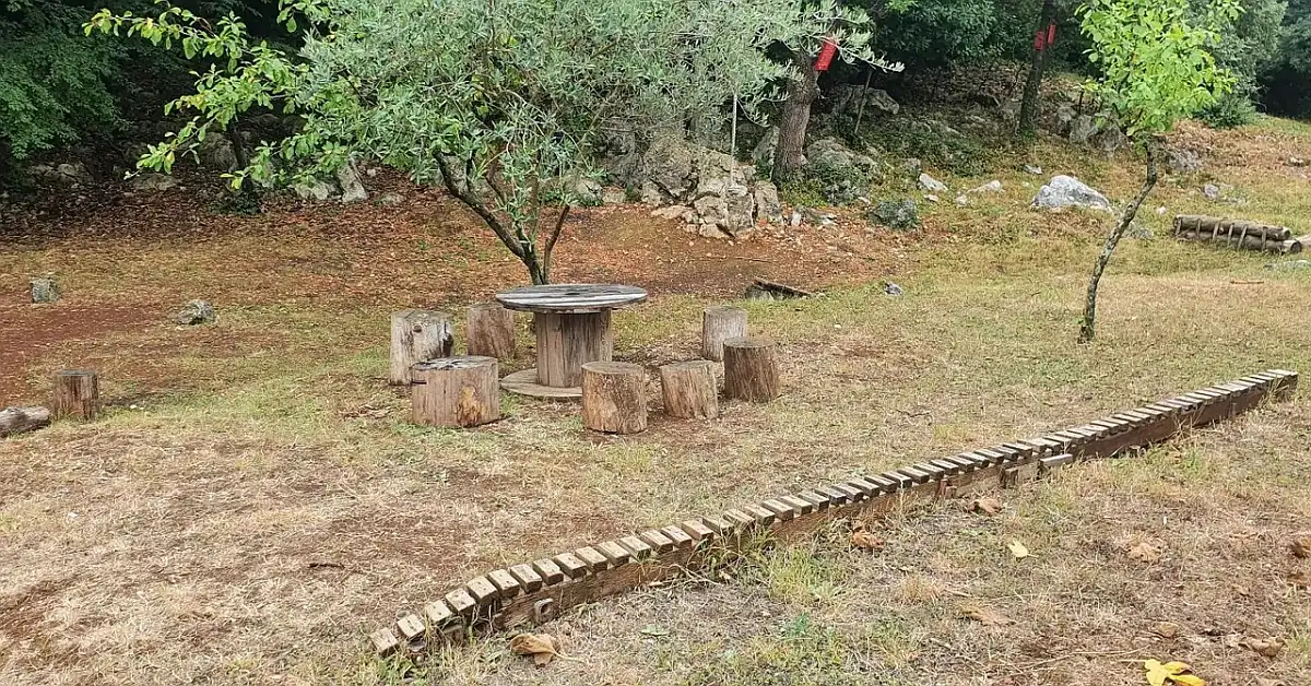 šuma omišalj