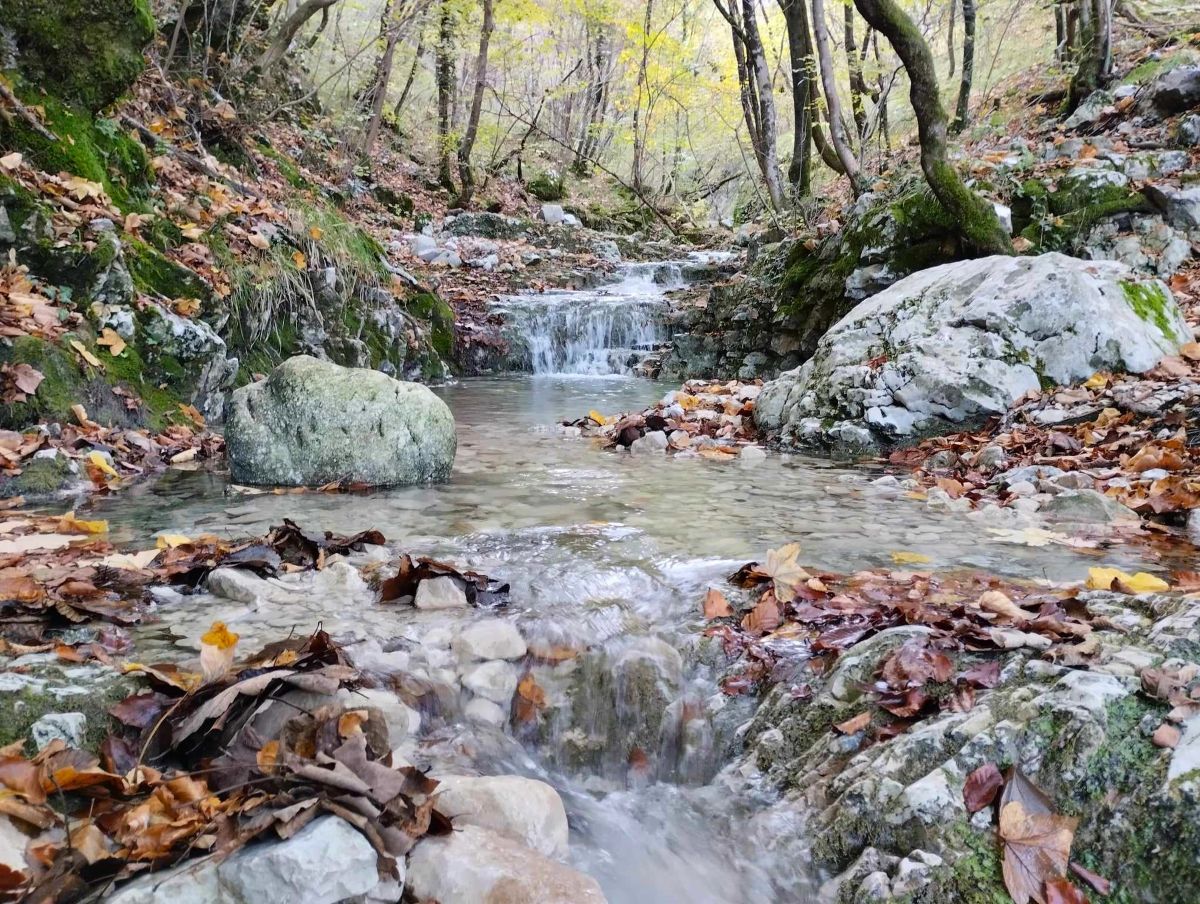 Trebišća Perun, Mošćenička Draga, potok