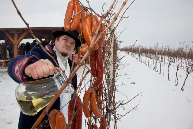 Vinkovo u Slavoniji i Baranji