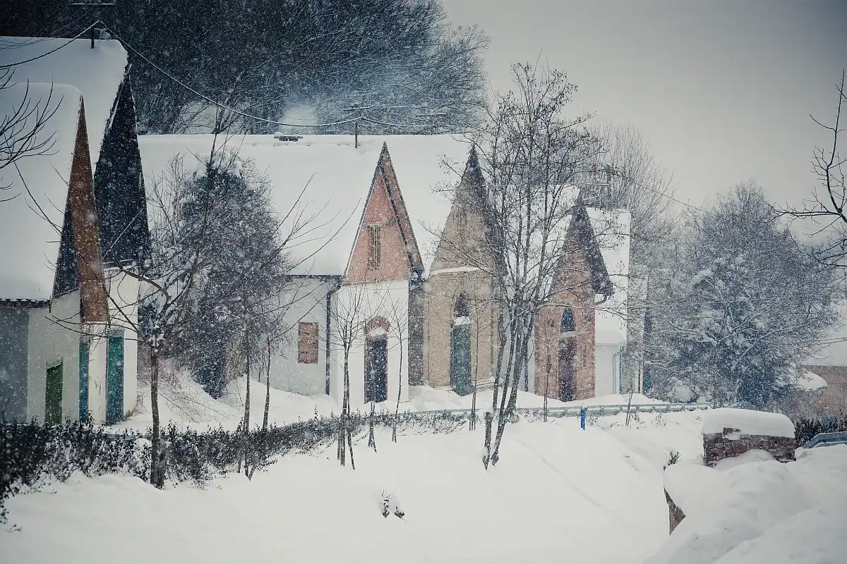 Baranja zima, snijeg