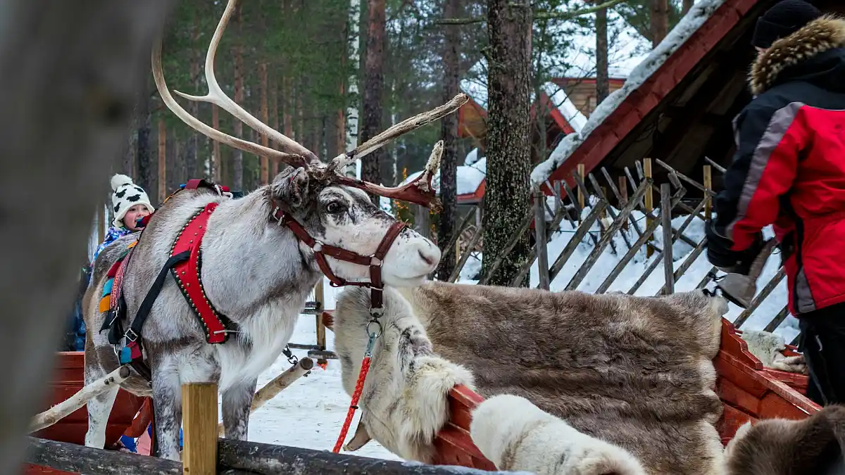 Rovaniemi u siječnju