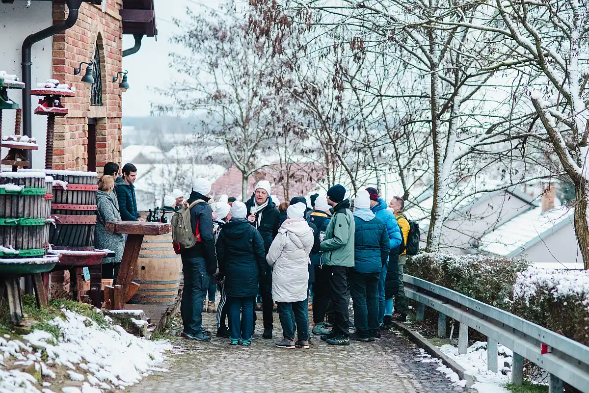 Vinkovo u Slavoniji i Baranji