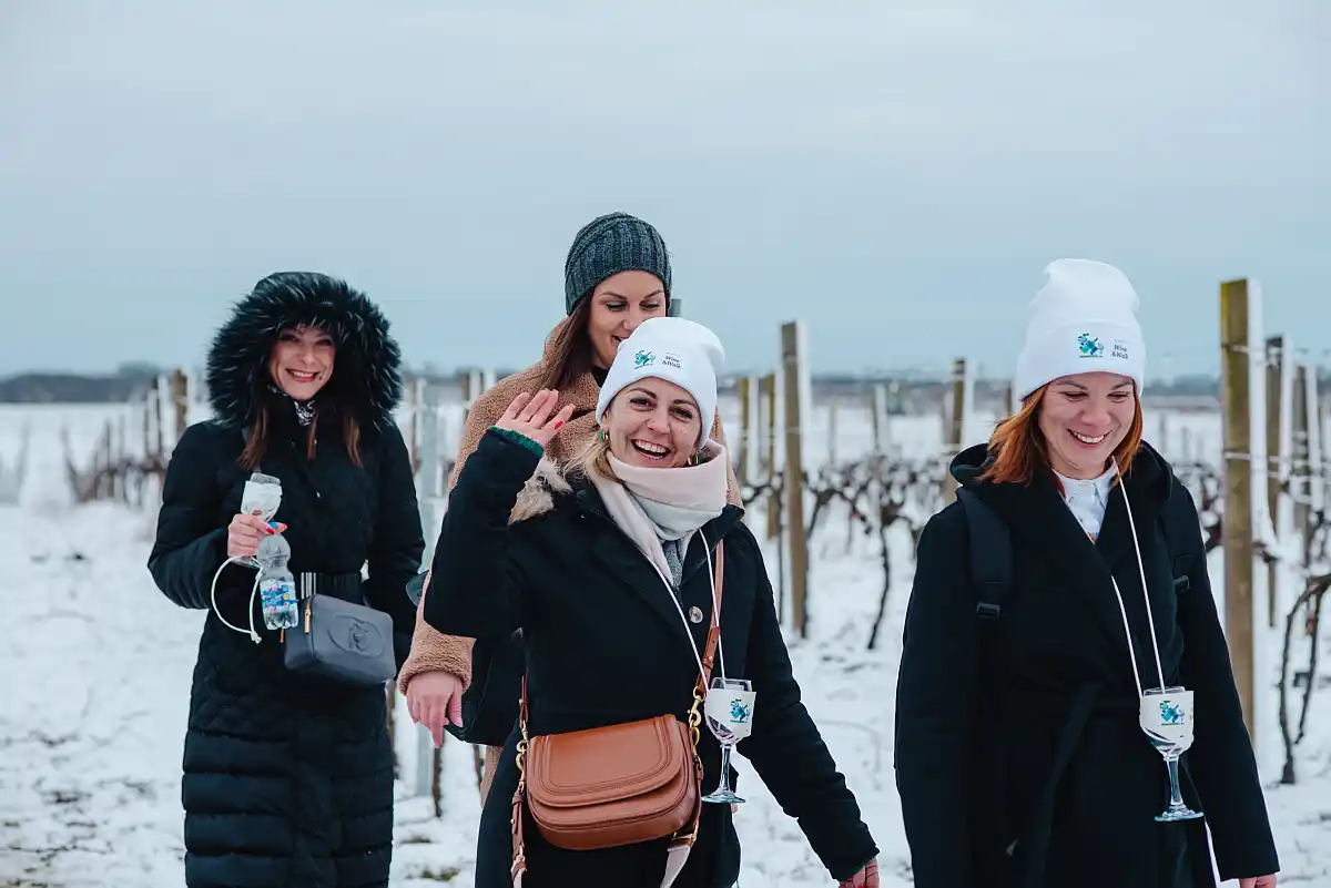 Winter Wine and Walk Baranja