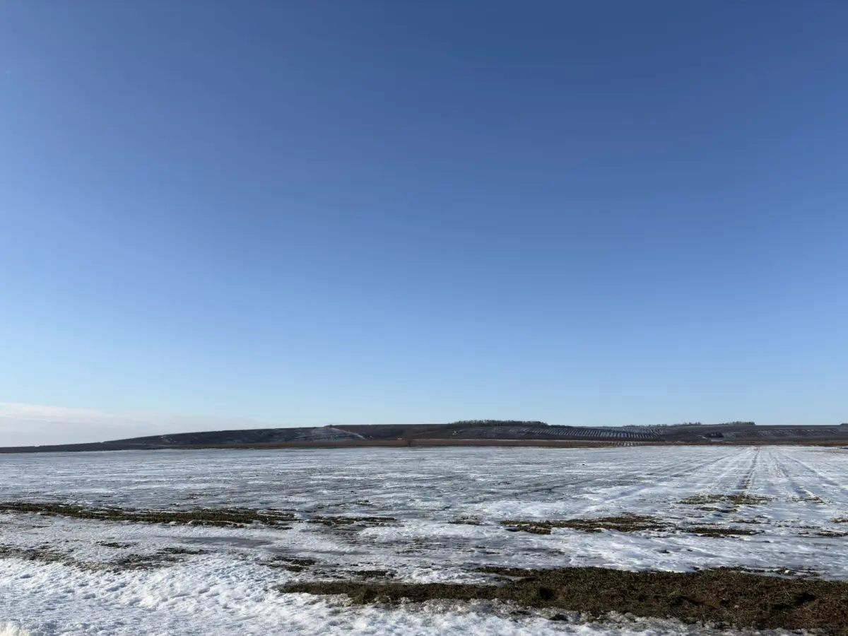 Baranja, zima, Baranjsko brdo, vinogradi