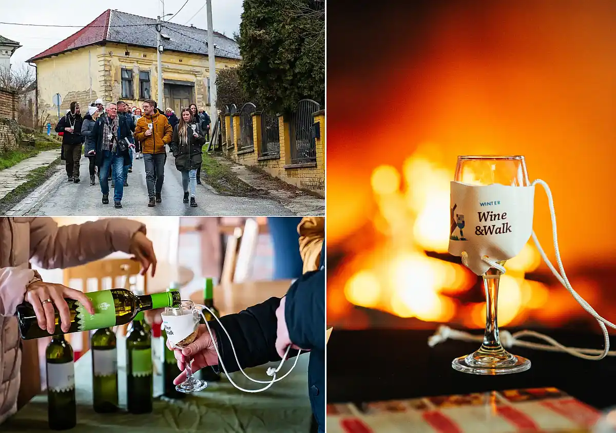 Baranja Winter Wine & Walk