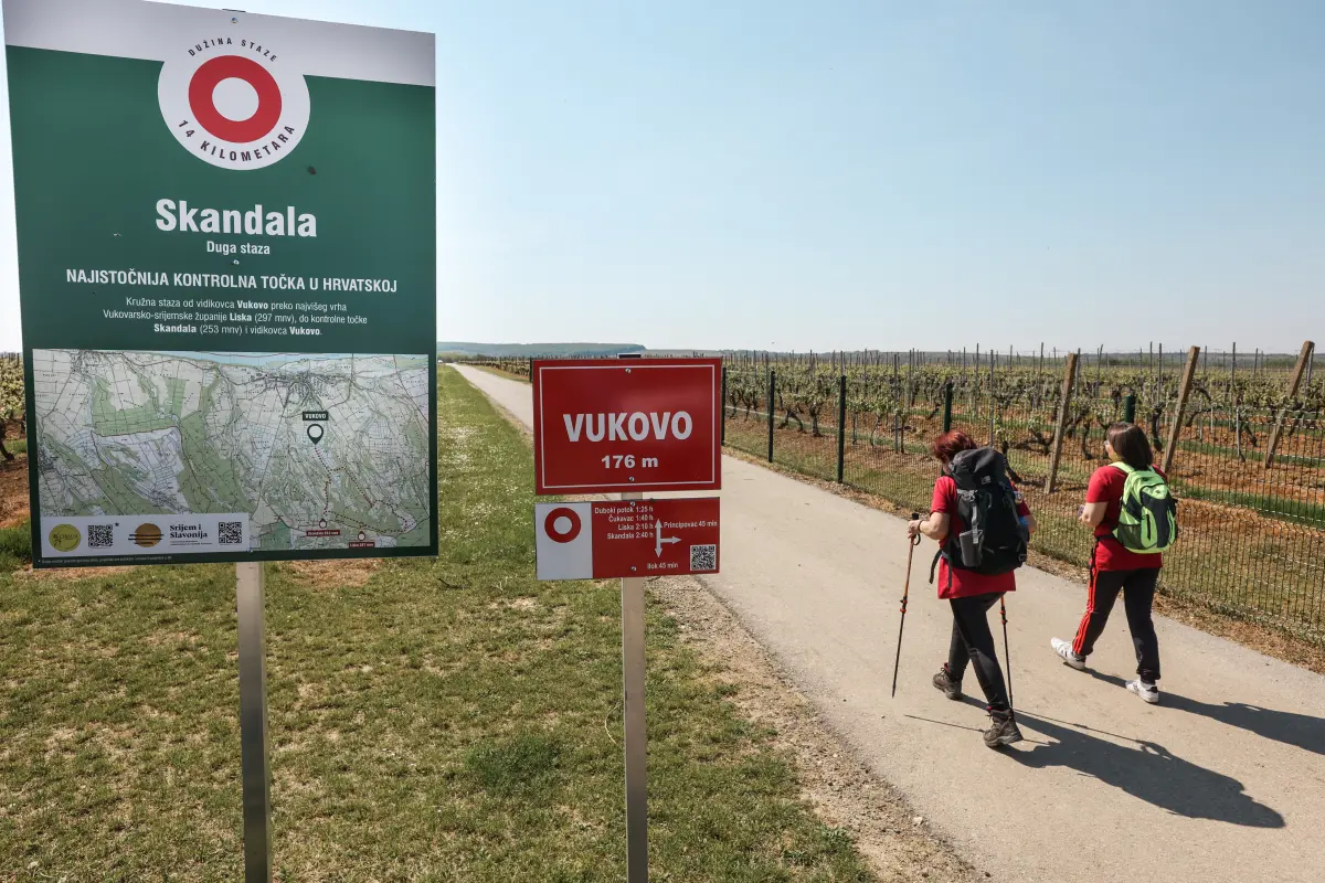 skandala, slavonska obilaznica, ilok planinska obilatnica, lisjak