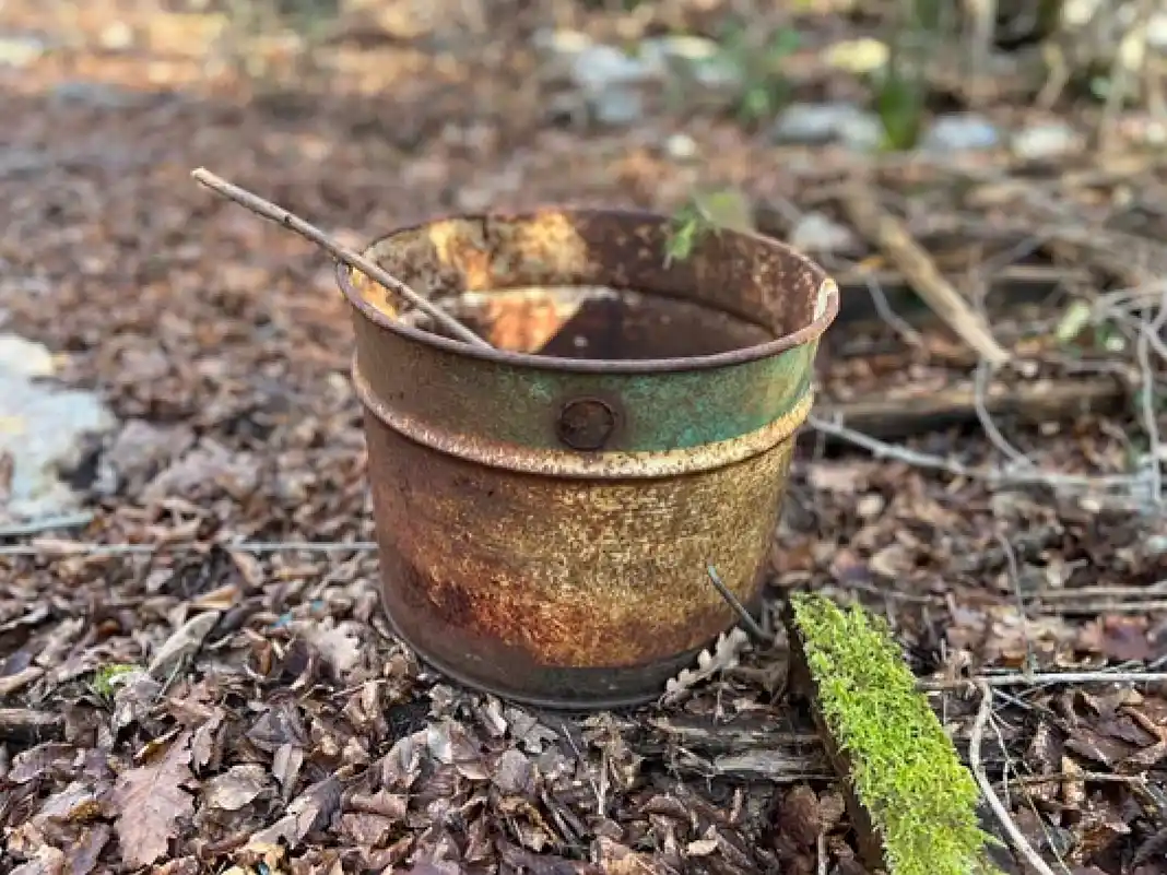 zaboravljene priče prirode