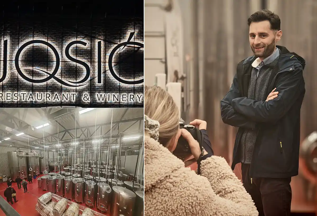 Vinarija Josić u Zmajevcu