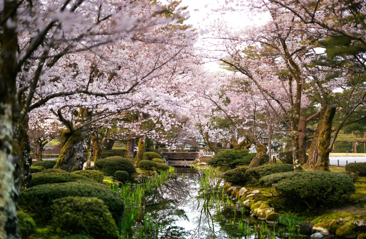 Kanzawa Japan