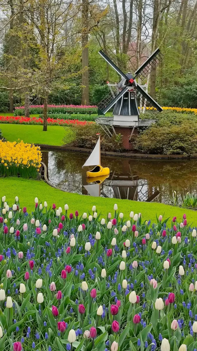 Nizozemska park cvijeće