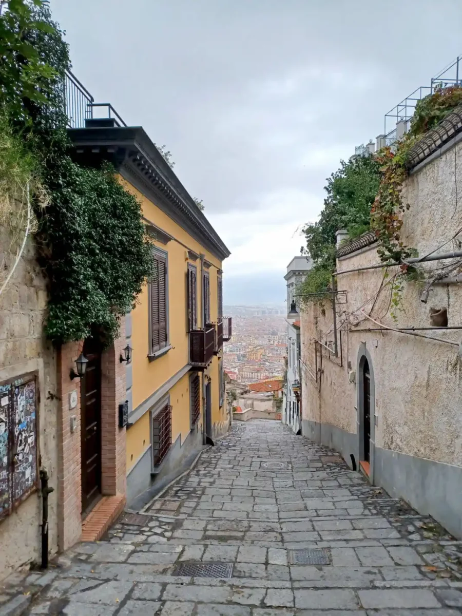 pogled