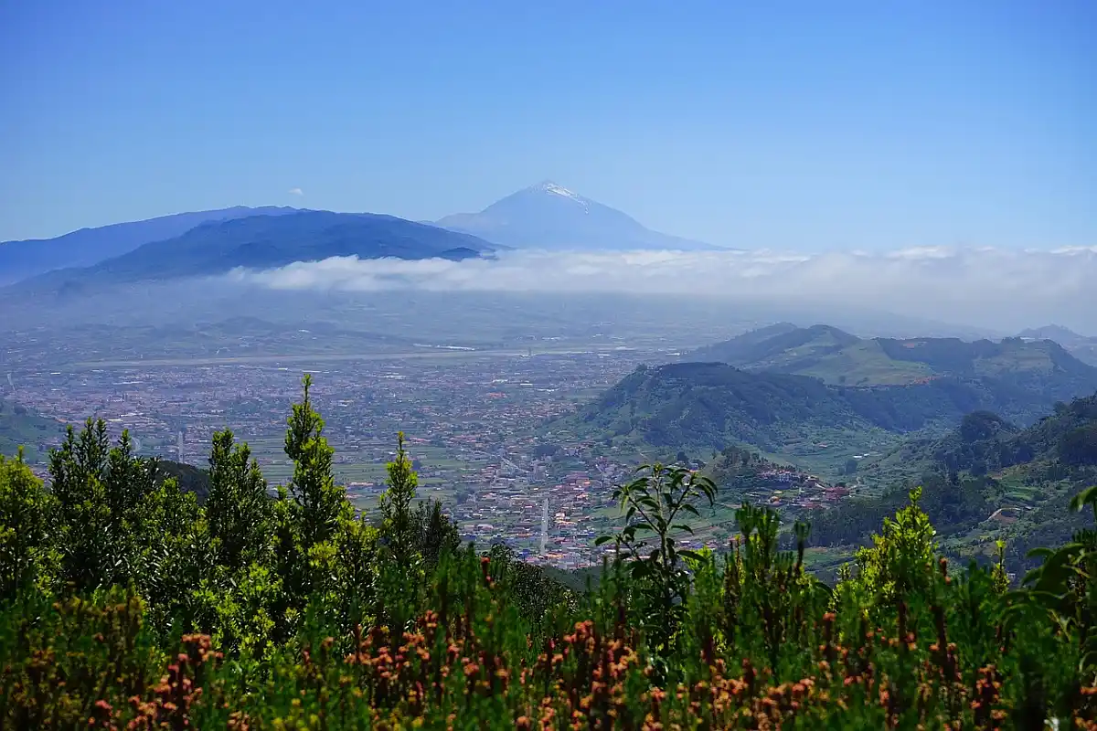 Tenerife - Kanari