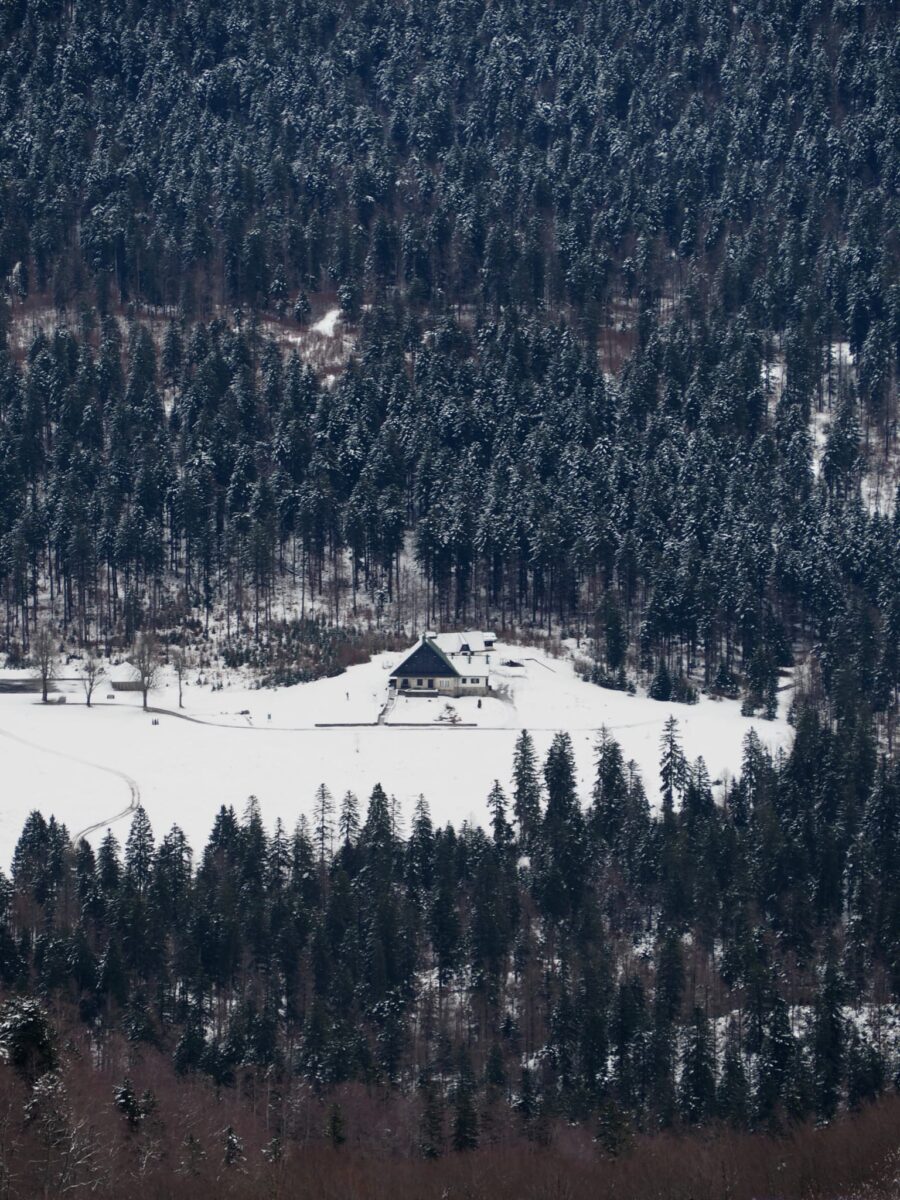 Platak Zima 2026.planinarenje, Foto: Perica Marina