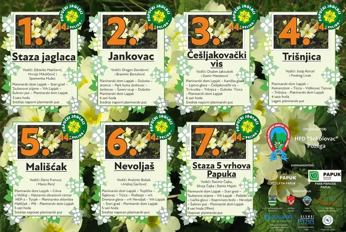 44 Papučki jaglaci