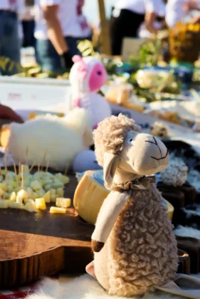Atmosfera na MarsOvci uz vatru i janjetinu na plaži Jadra, Novalja, pag