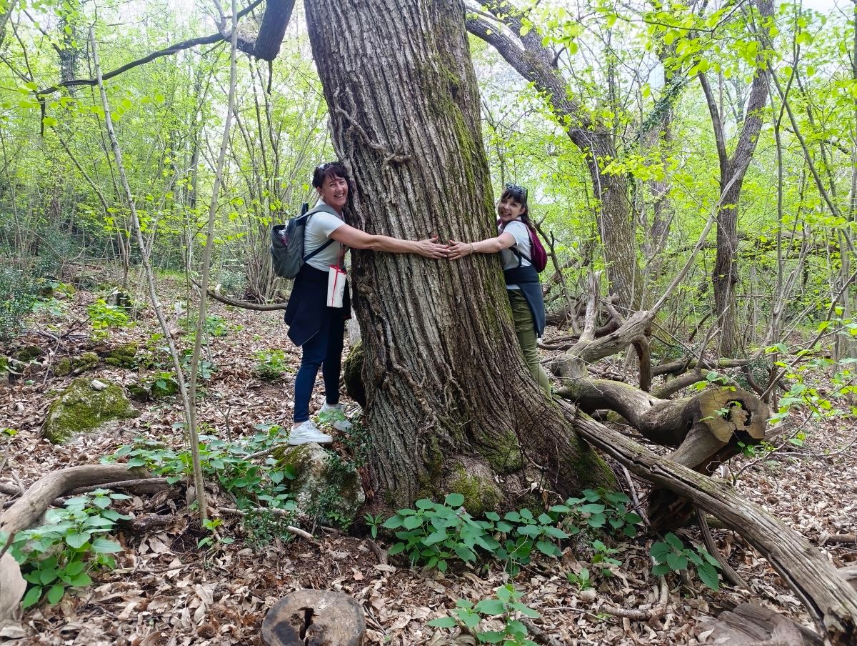 šetnja, Veprinac, Wine & Walk, priroda, cvijeće, šuma, outdoor, stablo, grljenje stabla, žene