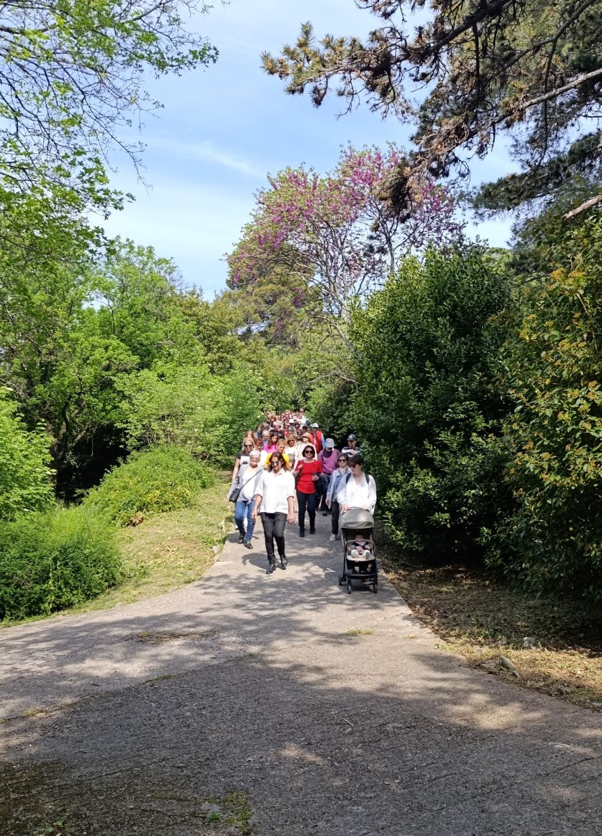 šetnja, Sušak, Rijeka, park, grupa, vođenje