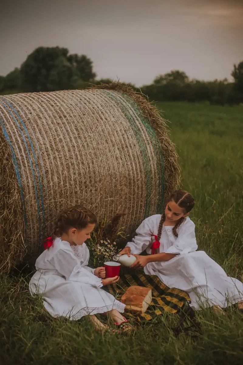 tradicija Vukovarsko-srijemska županija