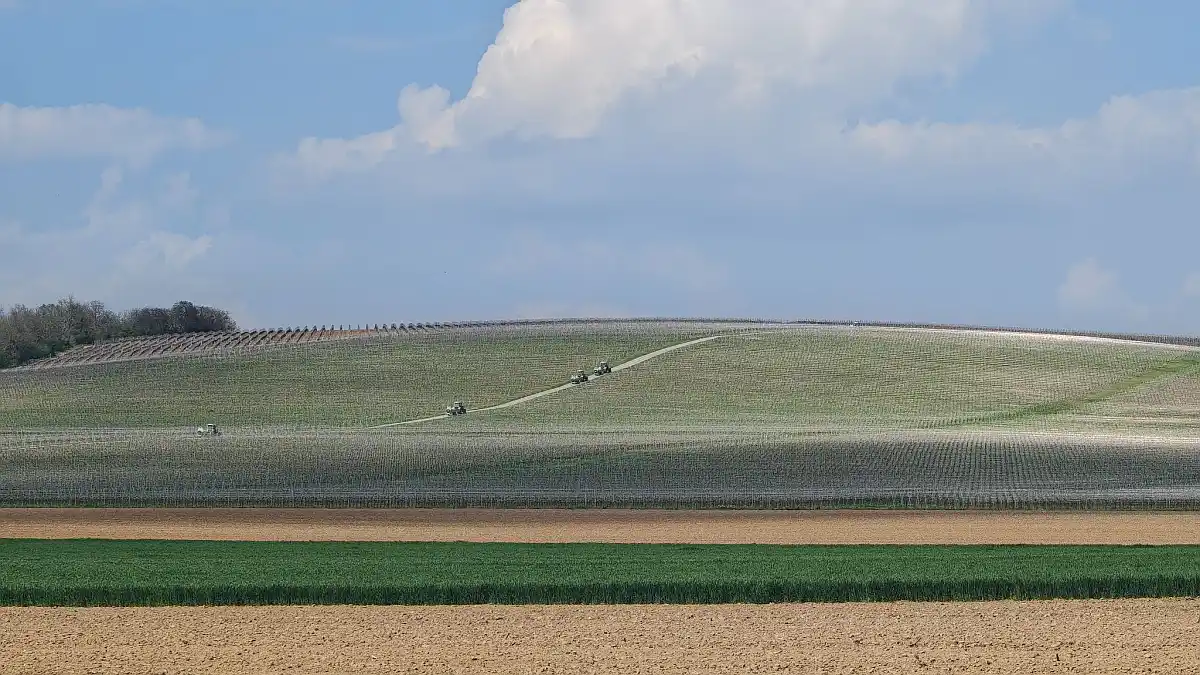 Karanac Baranja