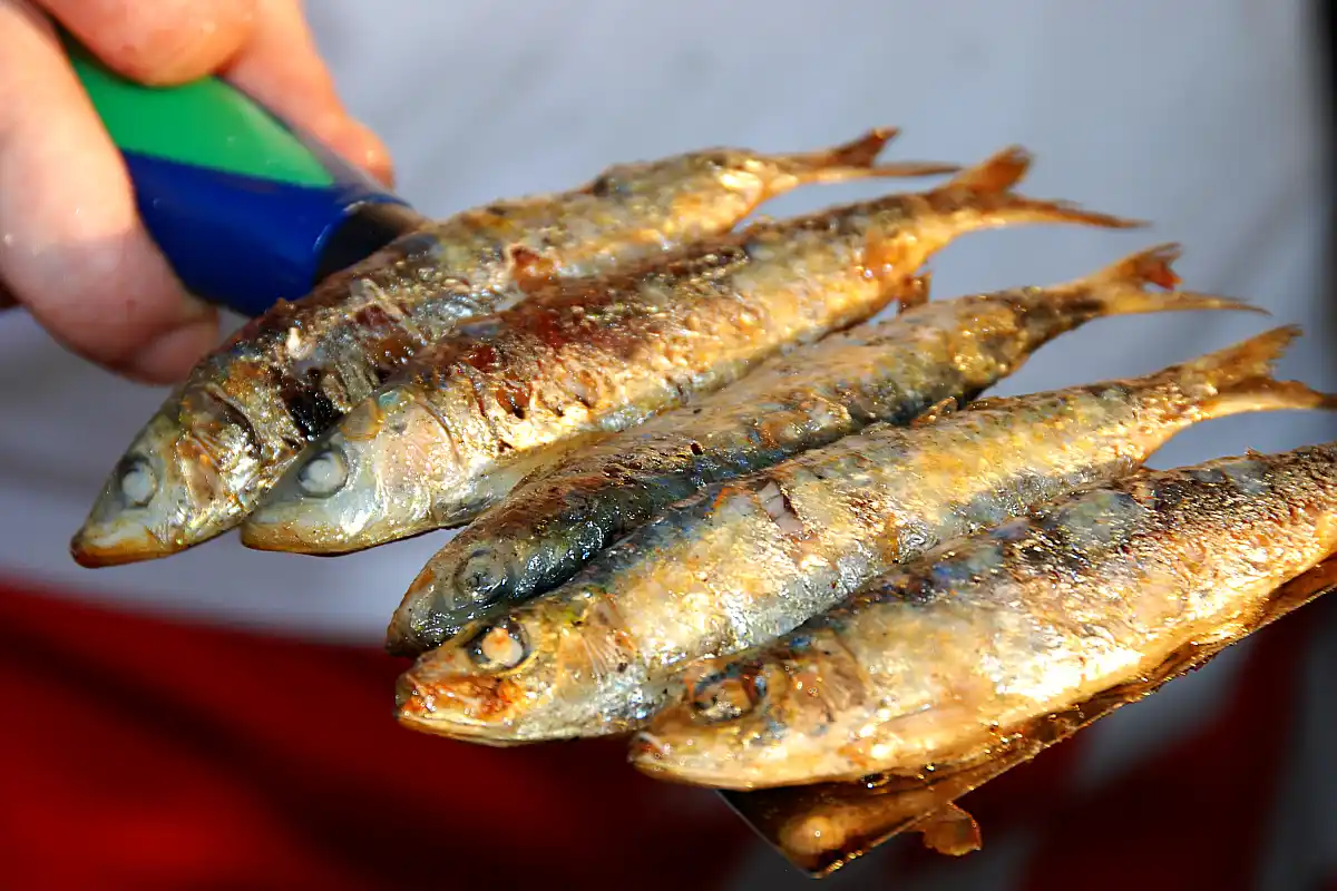 gastronomija Fažana