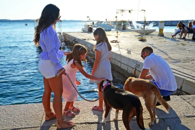 Fažana pet friendly