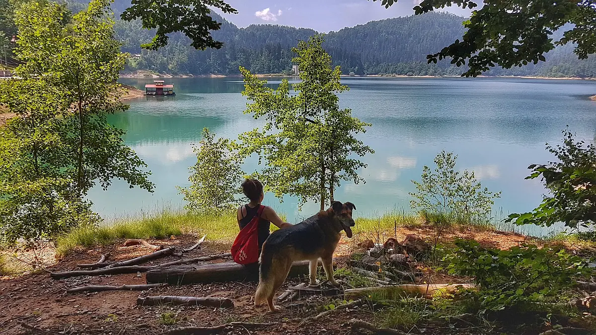 Lokvarsko jezero, Gorski kotar, Lokve na tanjuru