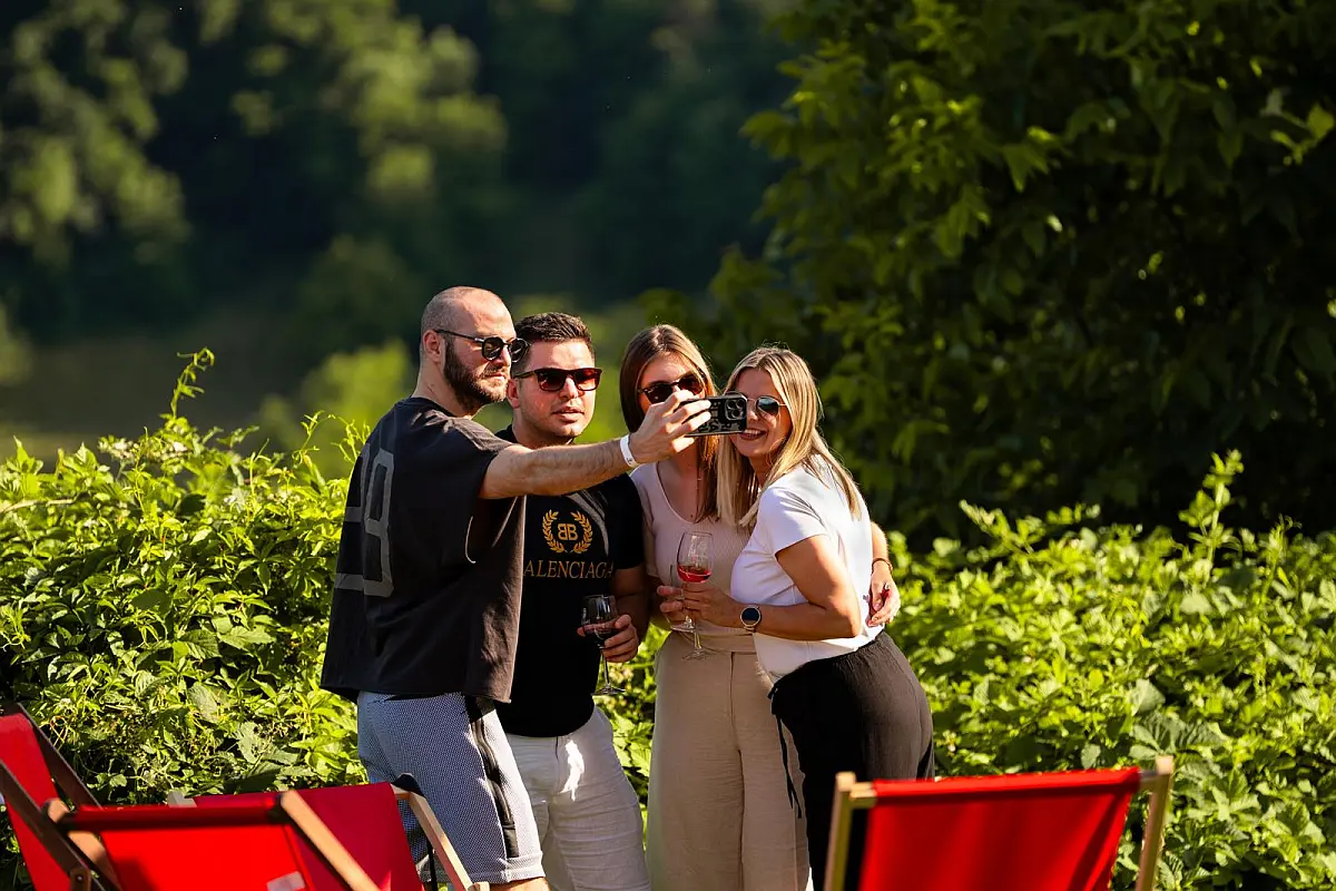 Vinogradi s pogledom