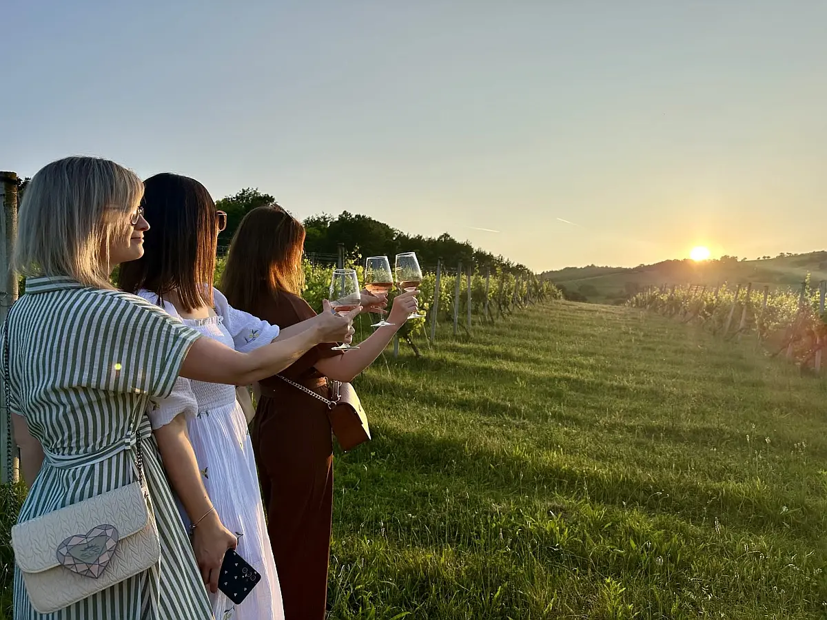 Zalazak u vinogradu Brodski Stupnik