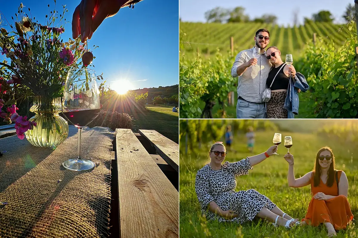 Zalazak u vinogradu Brodski Stupnik