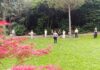 Kako smo na radionici ‘svjesnog boravka u prirodi’ u urbanom parku pronašli mir žene, priroda, zelenilo, park, radionica japanske vještine shinrin-yoku, Opatija, park Angiolina, šumska kupka