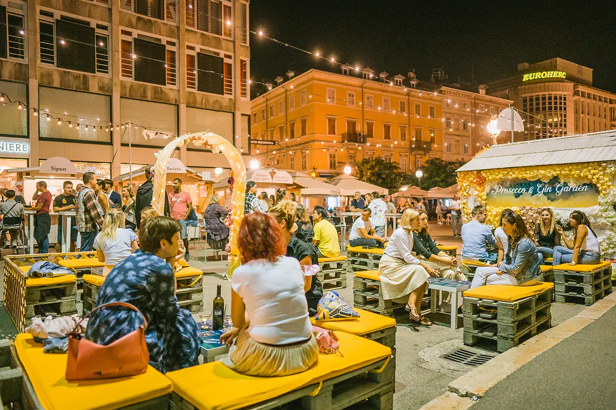 Vinski grad Rijeka, Vinart