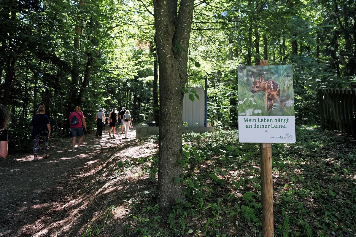 Das große Abenteuer am Demmerkogel