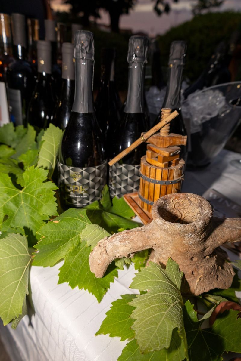 Okusi i mirisi zavičaja – Blato Wine & Dine, vino