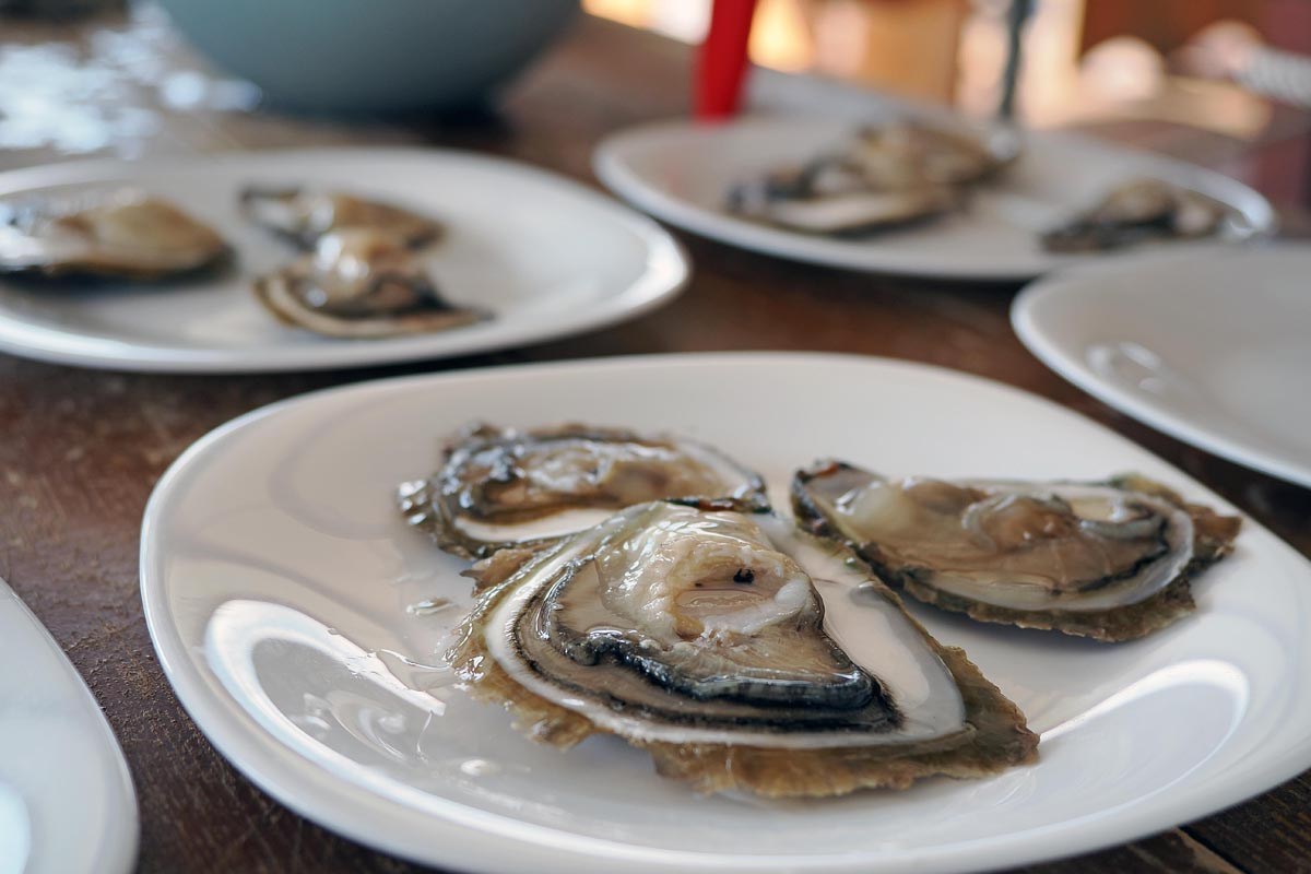 Ston, oyster farm Gusta Me,