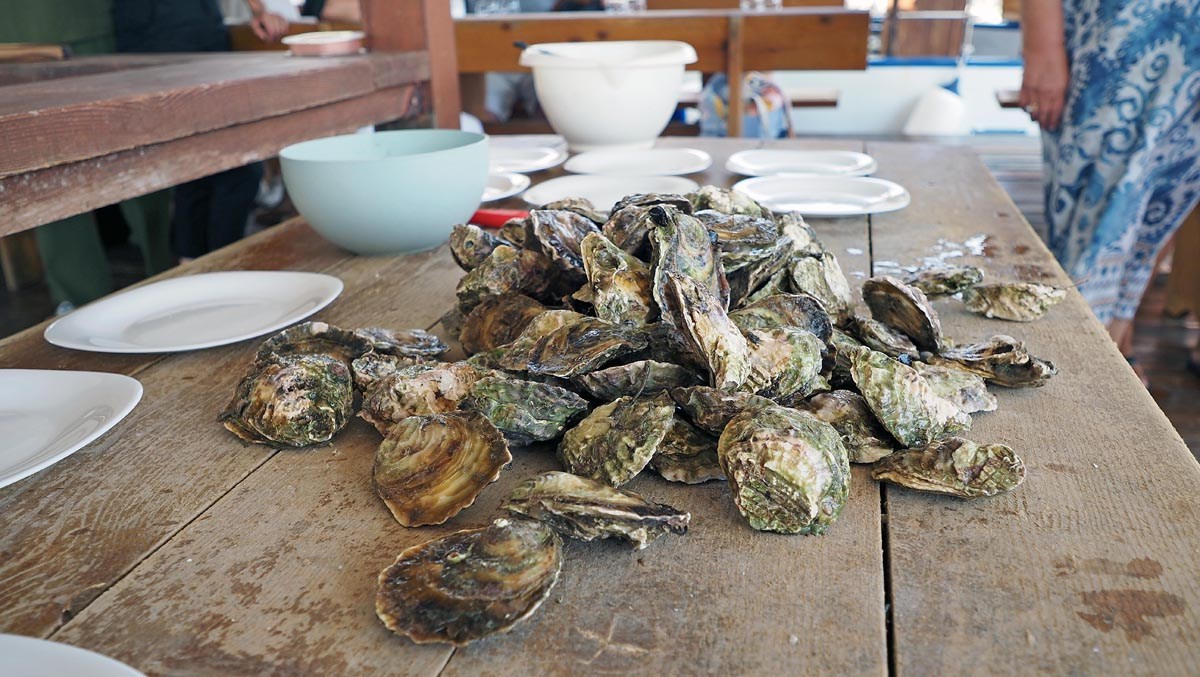 Ston, oyster farm Gusta Me,