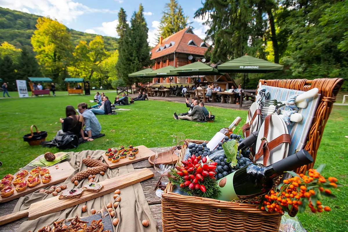 Festival Slavonija i Podravina wine not 2026. u Virovitičko-podravskoj županiji